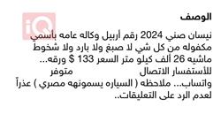 نيسان صني